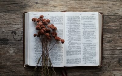 Beyond the Quick Fix: Why Your Body Needs a Biblical Approach to Wellness